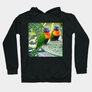 Rainbow Lorikeets Hoodie